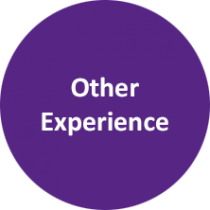 Other Experience